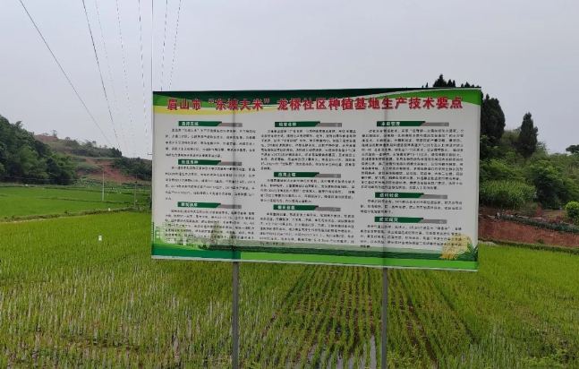 定制化肥料解決方案，助力東坡大米產(chǎn)業(yè)健康發(fā)展